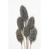 MAGNOLIA PODS Gray Wash 16"-